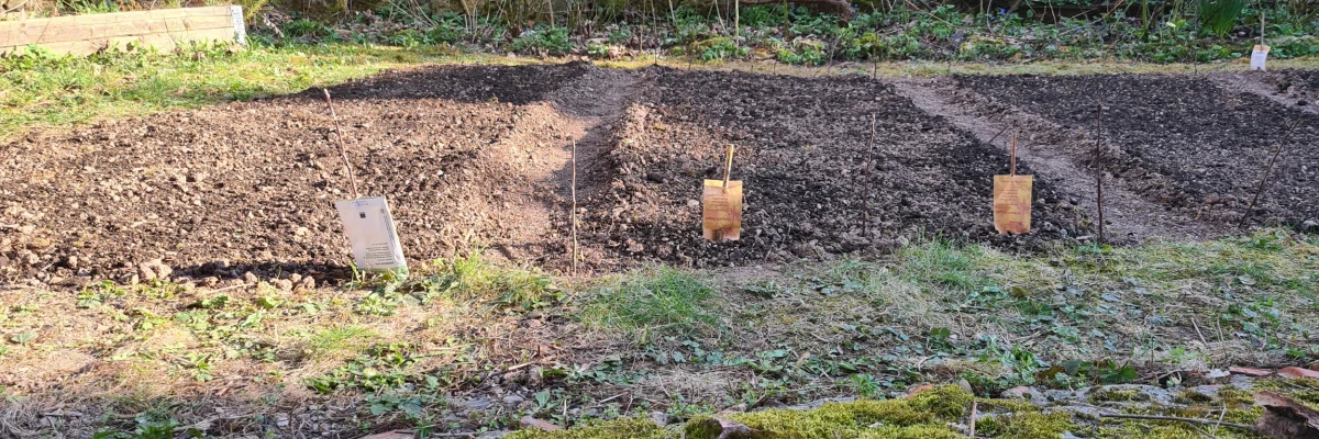 „Bauerngarten einmal anders" – 2025