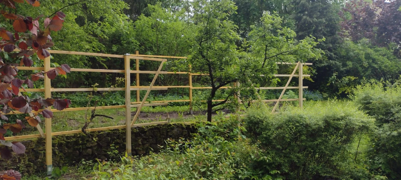 Essbarer Garten St. Petri (Petrigarten)
