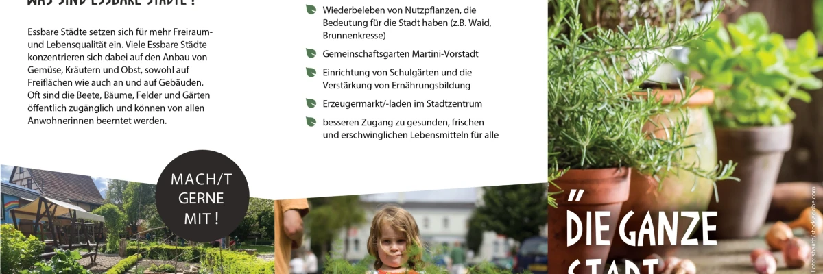 Unsere Vorträge und Veröffentlichungen